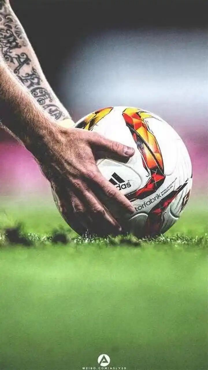 明星效应 明星效应